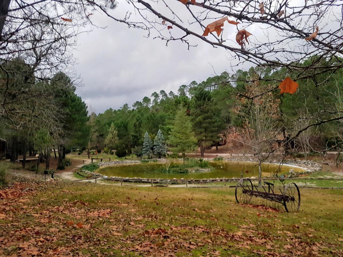 Chalet Esmeralda 3 D Y 2 Banos Zafiro Lagunazo Parque Natural Rio Mundo Riópar Zewnętrze zdjęcie