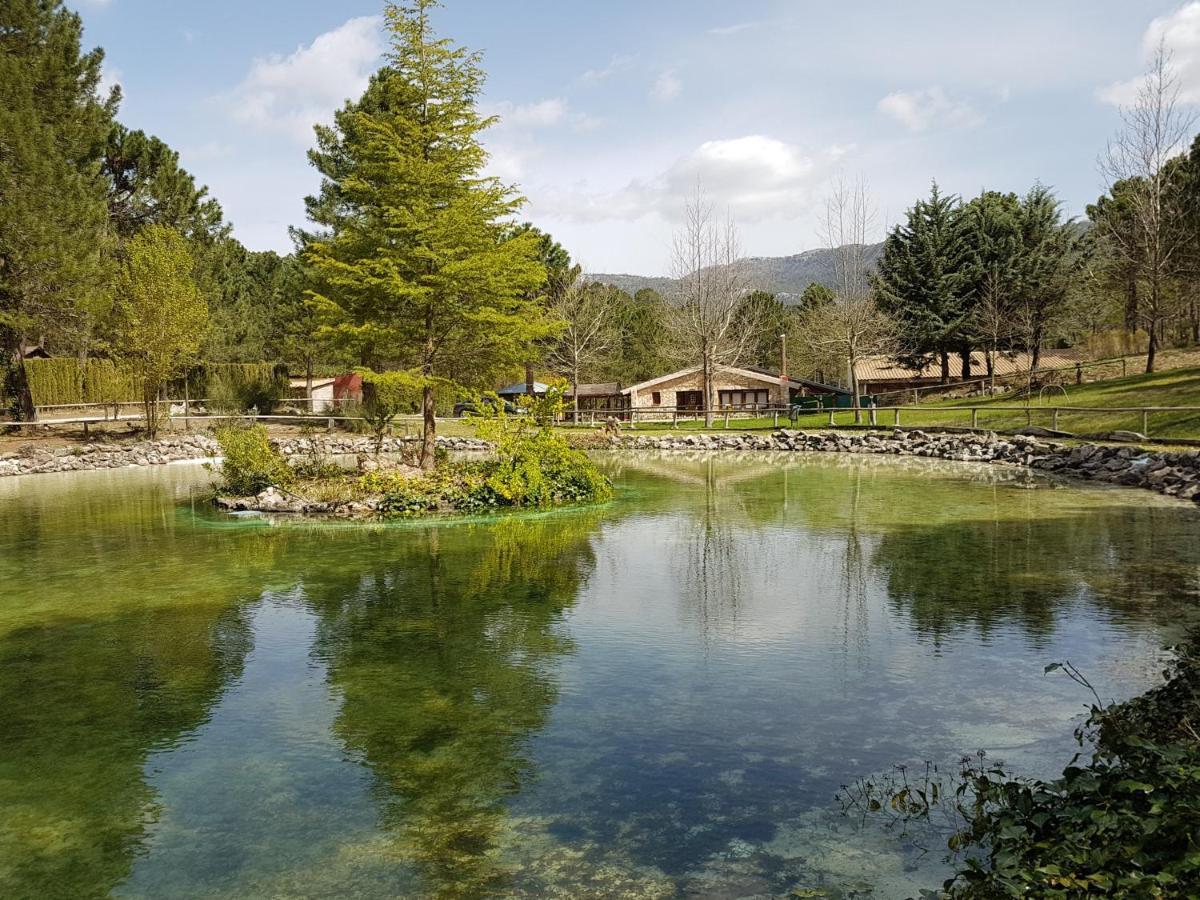 Chalet Esmeralda 3 D Y 2 Banos Zafiro Lagunazo Parque Natural Rio Mundo Riópar Zewnętrze zdjęcie