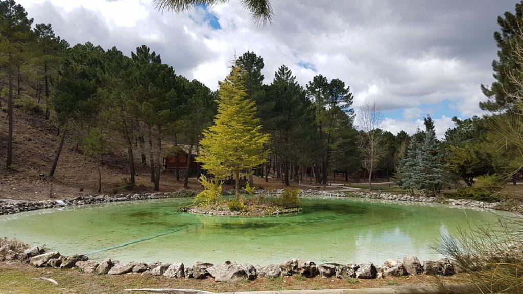 Chalet Esmeralda 3 D Y 2 Banos Zafiro Lagunazo Parque Natural Rio Mundo Riópar Zewnętrze zdjęcie
