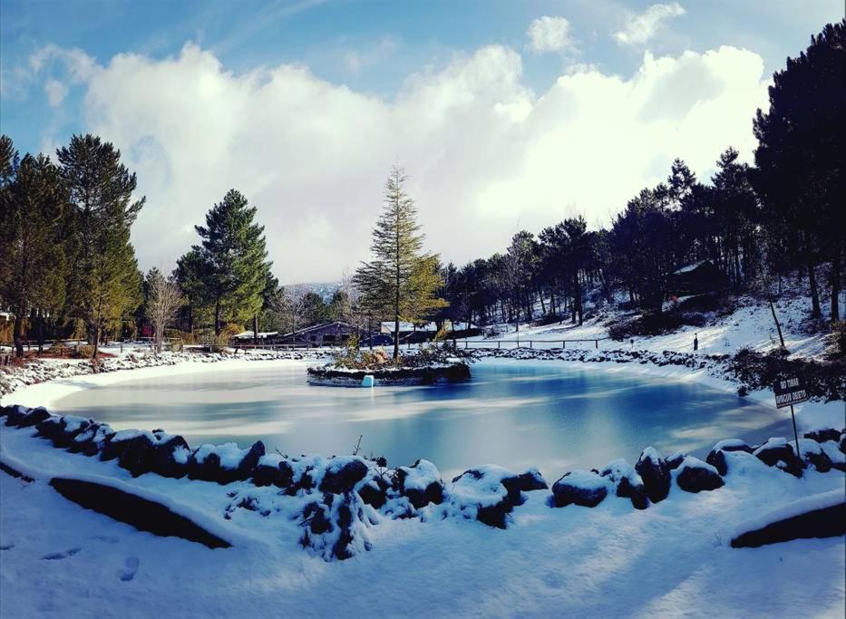 Chalet Esmeralda 3 D Y 2 Banos Zafiro Lagunazo Parque Natural Rio Mundo Riópar Zewnętrze zdjęcie
