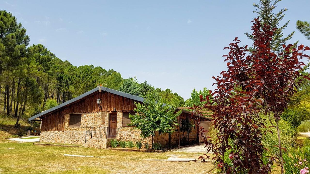 Chalet Esmeralda 3 D Y 2 Banos Zafiro Lagunazo Parque Natural Rio Mundo Riópar Zewnętrze zdjęcie