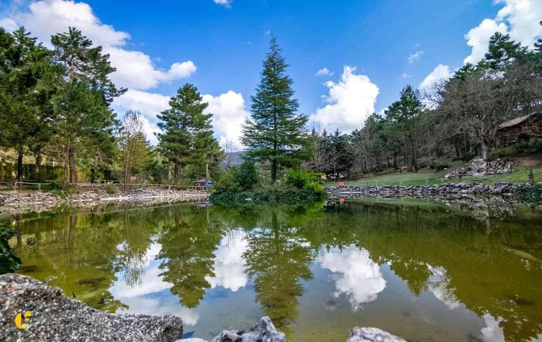 Chalet Esmeralda 3 D Y 2 Banos Zafiro Lagunazo Parque Natural Rio Mundo Riópar Zewnętrze zdjęcie