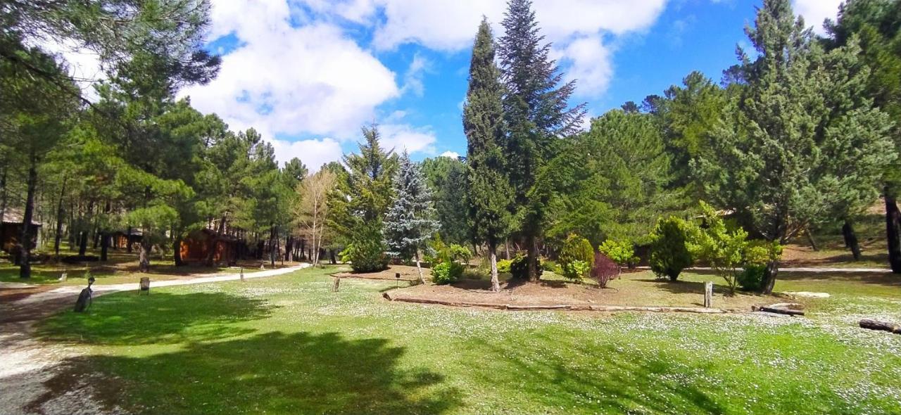 Chalet Esmeralda 3 D Y 2 Banos Zafiro Lagunazo Parque Natural Rio Mundo Riópar Zewnętrze zdjęcie