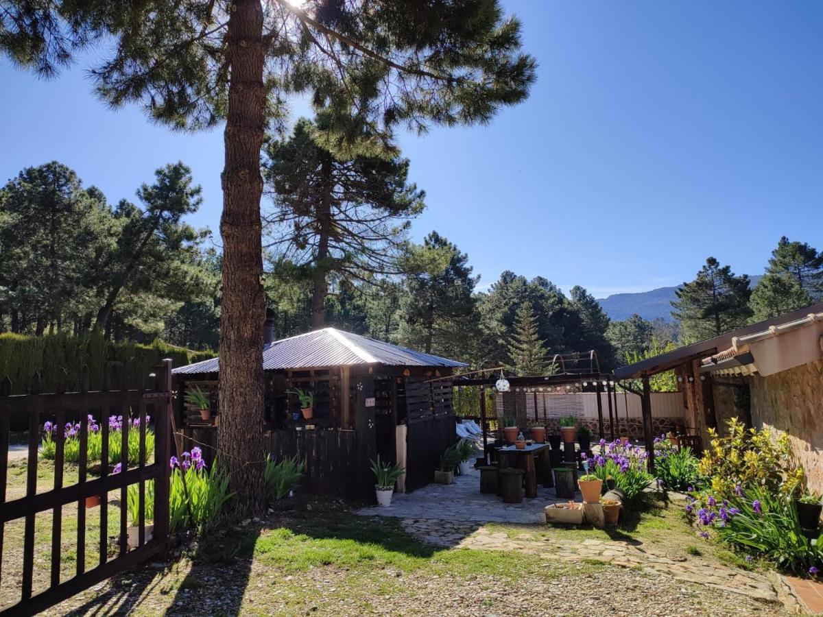 Chalet Esmeralda 3 D Y 2 Banos Zafiro Lagunazo Parque Natural Rio Mundo Riópar Zewnętrze zdjęcie