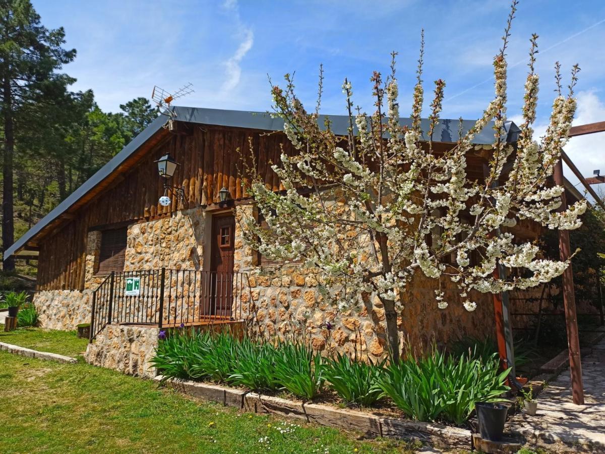 Chalet Esmeralda 3 D Y 2 Banos Zafiro Lagunazo Parque Natural Rio Mundo Riópar Zewnętrze zdjęcie