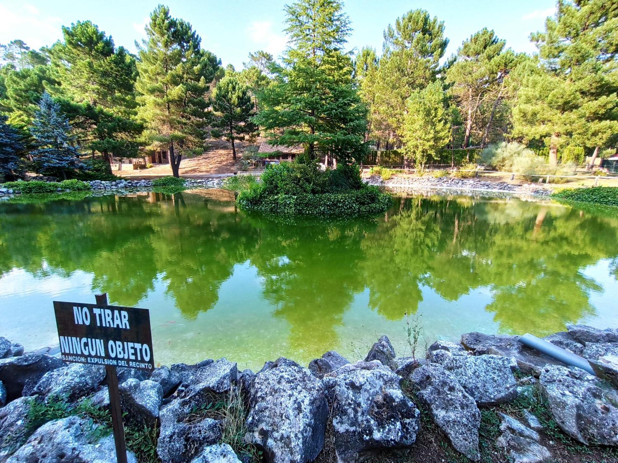 Chalet Esmeralda 3 D Y 2 Banos Zafiro Lagunazo Parque Natural Rio Mundo Riópar Zewnętrze zdjęcie