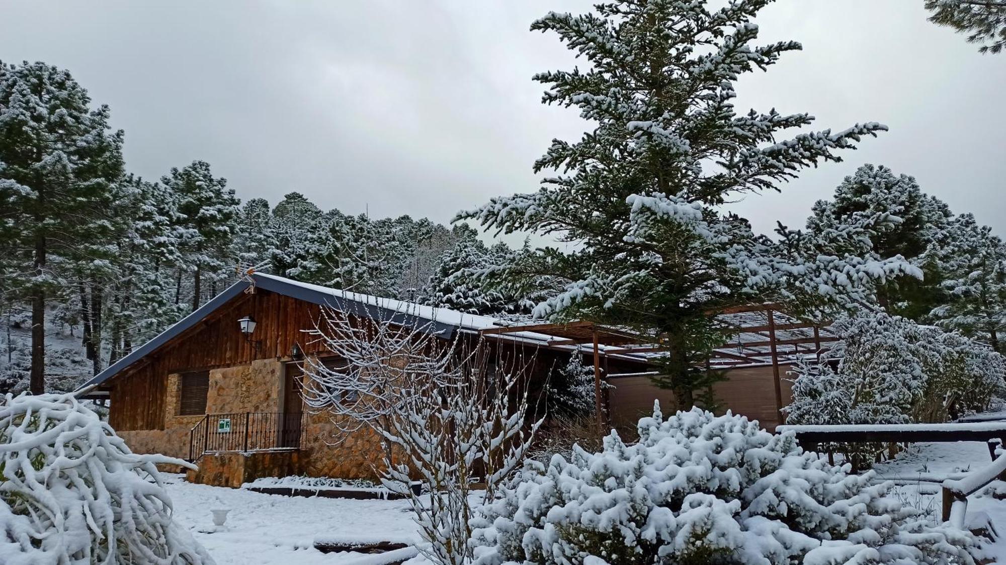 Chalet Esmeralda 3 D Y 2 Banos Zafiro Lagunazo Parque Natural Rio Mundo Riópar Zewnętrze zdjęcie